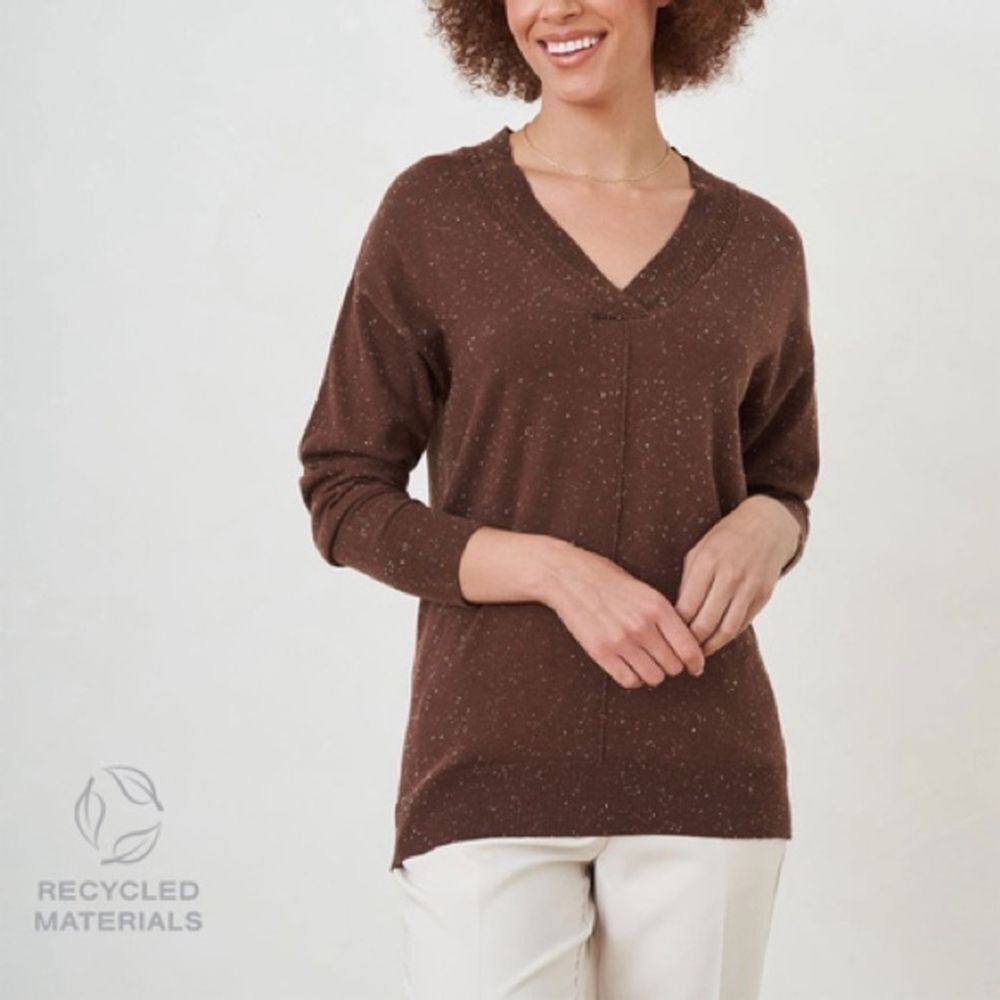 Nwt Cleo V-Neck Tunic Sweater